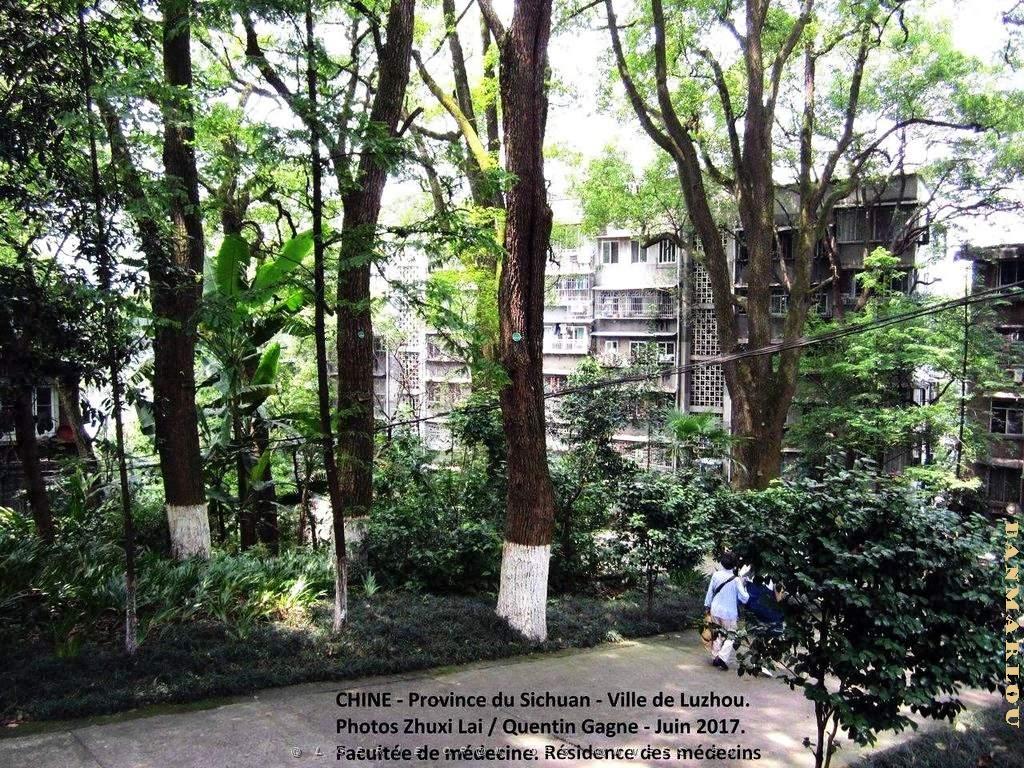 Luzhou juin 2017 - 011.JPG